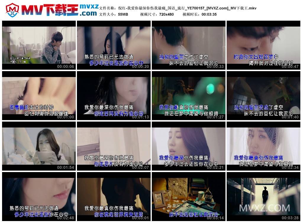 倪红-我爱你最深你伤我最痛_国语_流行_YE700157